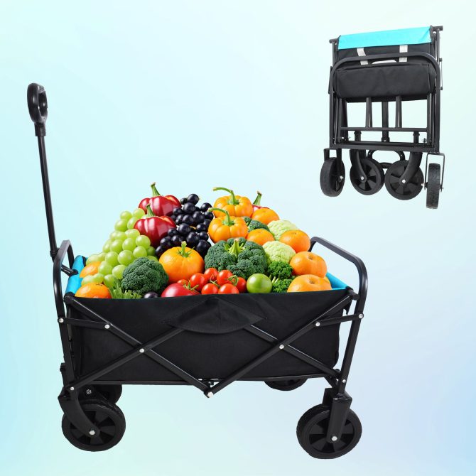 Mini Folding Wagon Garden Shopping Beach Cart (black+blue) - Image 3