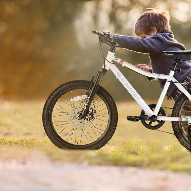S20101 20 Inch Kids' Bike, Boys Girls Mountain Bike Ages 8-12, 7 Speed Teenager Children Kids' Bicycles, Front Suspension Disc Brake Rear V-Brake, High Steel Frame - Image 7