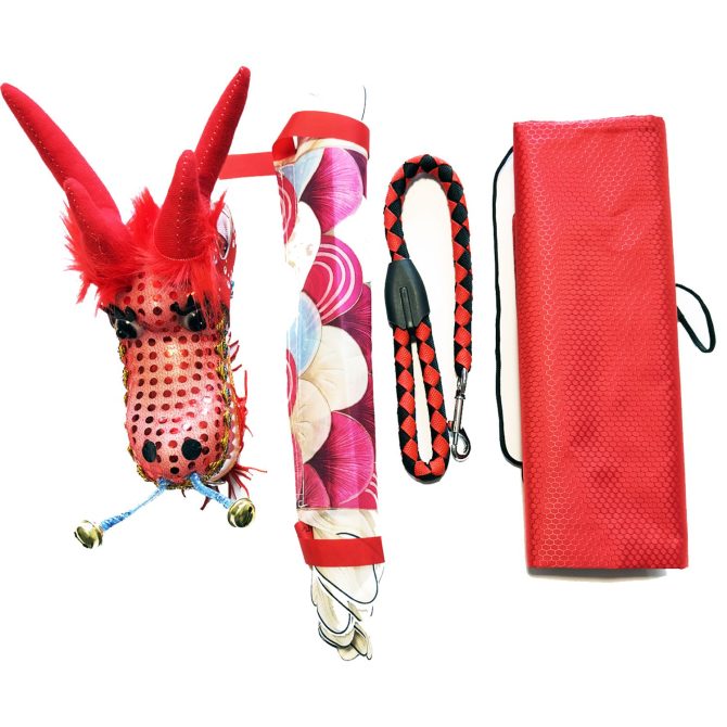 Lightweight Dragon Poi with 3D Dragon Head & Swing Rope Combo for Kids and Beginners, Flowy Dragon Ribbon Streamer Outdoor Fitness Golden Dragon Stage Prop Set - Image 88