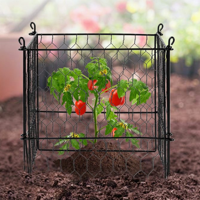 VEVOR 4 Pack Plant Protectors from Animals, 13.4'' x 13.4'' Chicken Wire Plant Protector, Plant Cages for Outdoor Plants, Flowers & Vegetables, Keeps Bunny Chicken Squirrels Out, 16pcs Metal Mesh - Image 8