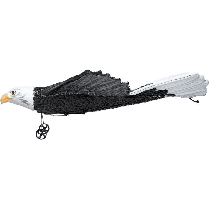 VEVOR RC Airplane Biomimetic Eagle EPP Foam RC Plane Toy 2.4 GHz Remote Control - Image 7
