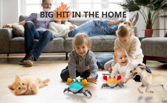 Crawling Crab Toy - Crawly Crabby Tummy Time Toys - Image 15