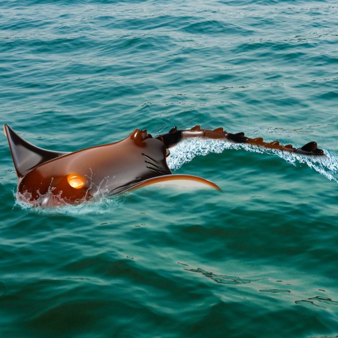 Christmas gifts! VEVOR Remote Control Manta Ray Toy 2.4 GHz High Speed RC Boat Kids Adults Gift - Image 8
