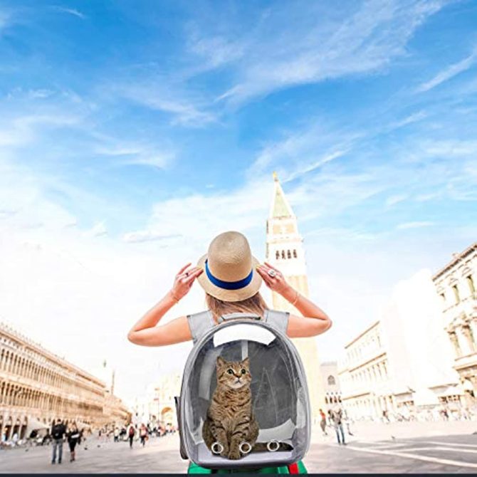 Cat Backpack Carrier Bubble Bag; Small Dog Backpack Carrier for Small Dogs; Space Capsule Pet Carrier Dog Hiking Backpack Airline Approved Travel Carrier - Image 4