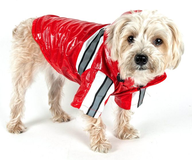 Reflecta-Glow Reflective Waterproof Adjustable Pvc Pet Raincoat - Image 13