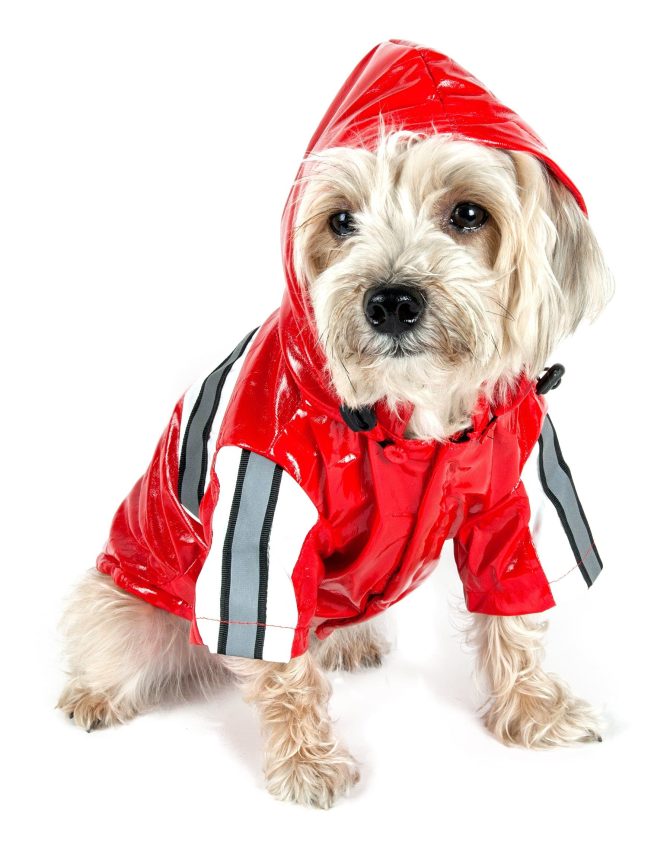 Reflecta-Glow Reflective Waterproof Adjustable Pvc Pet Raincoat - Image 2