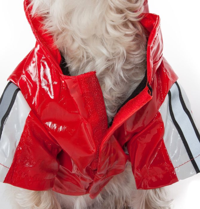 Reflecta-Glow Reflective Waterproof Adjustable Pvc Pet Raincoat - Image 4