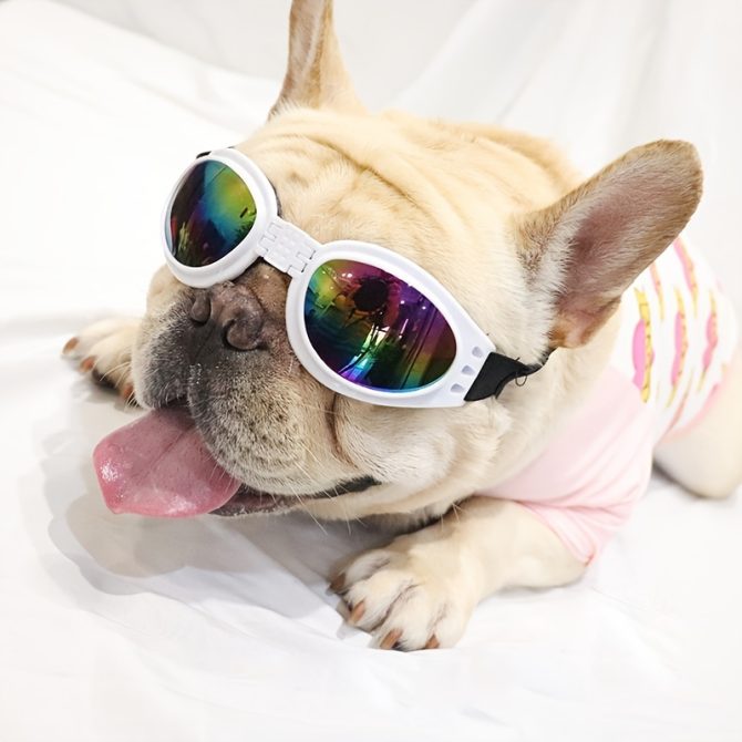 Pet Sunglasses For Dog & Cat; Foldable Dog Glasses For Outdoor; Cat Sunglasses; Pet Accessories - Image 31
