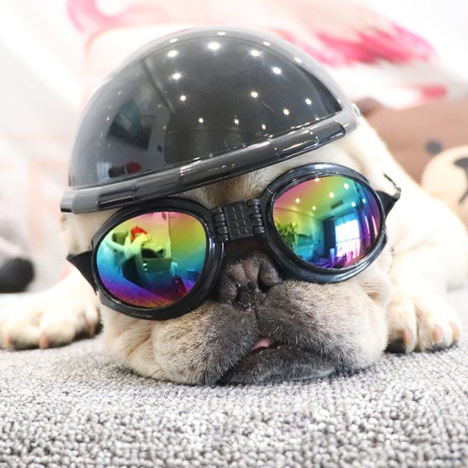 Pet Sunglasses For Dog & Cat; Foldable Dog Glasses For Outdoor; Cat Sunglasses; Pet Accessories - Image 32