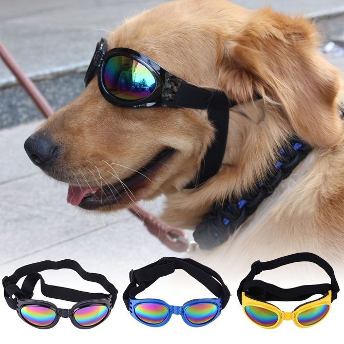 Pet Sunglasses For Dog & Cat; Foldable Dog Glasses For Outdoor; Cat Sunglasses; Pet Accessories - Image 34