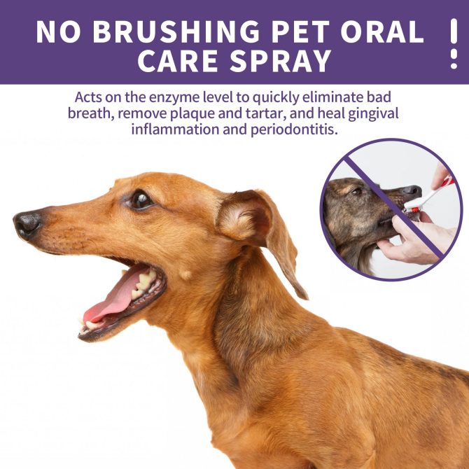 Dog and cat dental cleaning spray pet oral breath fresh deodorant deodorant cleaning agent 50ml - Image 2