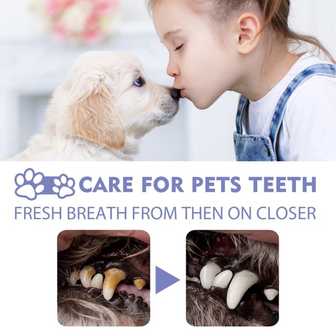 Dog and cat dental cleaning spray pet oral breath fresh deodorant deodorant cleaning agent 50ml - Image 4