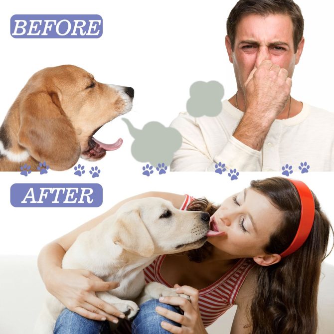 Dog and cat dental cleaning spray pet oral breath fresh deodorant deodorant cleaning agent 50ml - Image 7