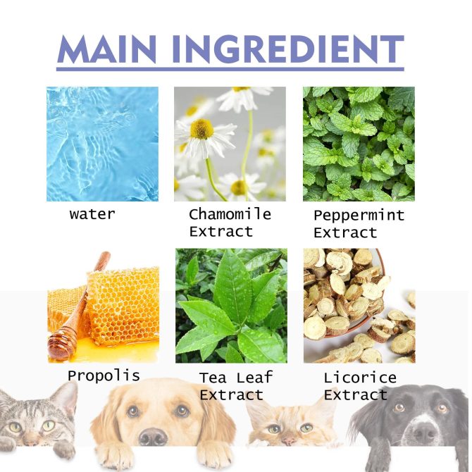Dog and cat dental cleaning spray pet oral breath fresh deodorant deodorant cleaning agent 50ml - Image 9