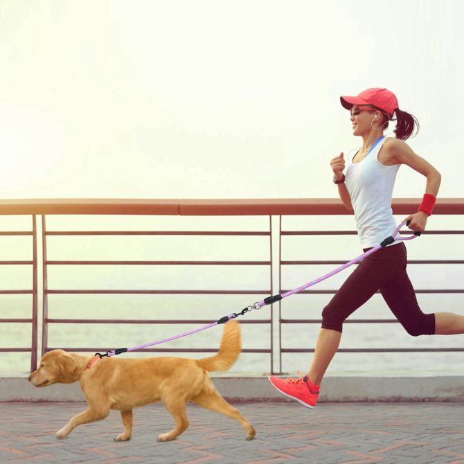 Double Dogs Leash No-Tangle Dogs Lead Reflective Dogs Walking Leash w/ Swivel Coupler Padded Handle - Image 12