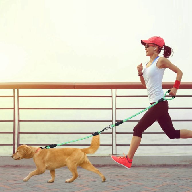 Double Dogs Leash No-Tangle Dogs Lead Reflective Dogs Walking Leash w/ Swivel Coupler Padded Handle - Image 17