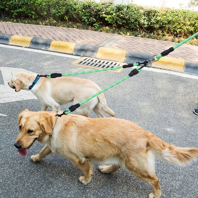 Double Dogs Leash No-Tangle Dogs Lead Reflective Dogs Walking Leash w/ Swivel Coupler Padded Handle - Image 18