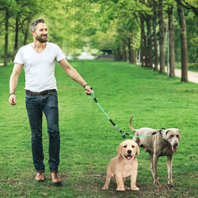 Double Dogs Leash No-Tangle Dogs Lead Reflective Dogs Walking Leash w/ Swivel Coupler Padded Handle - Image 19