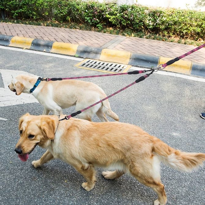 Double Dogs Leash No-Tangle Dogs Lead Reflective Dogs Walking Leash w/ Swivel Coupler Padded Handle - Image 3