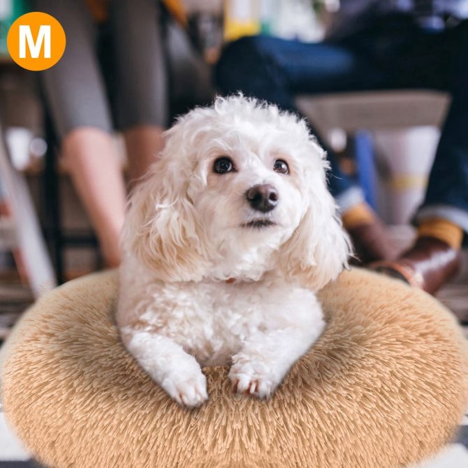 Pet Dog Bed Soft Warm Fleece Puppy Cat Bed Dog Cozy Nest Sofa Bed Cushion M Size - Image 4