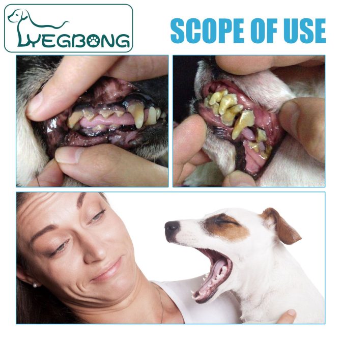 Pet toothpaste dog fresh breath in addition to bad breath tartar cleaning cats and cats oral care edible - Image 11