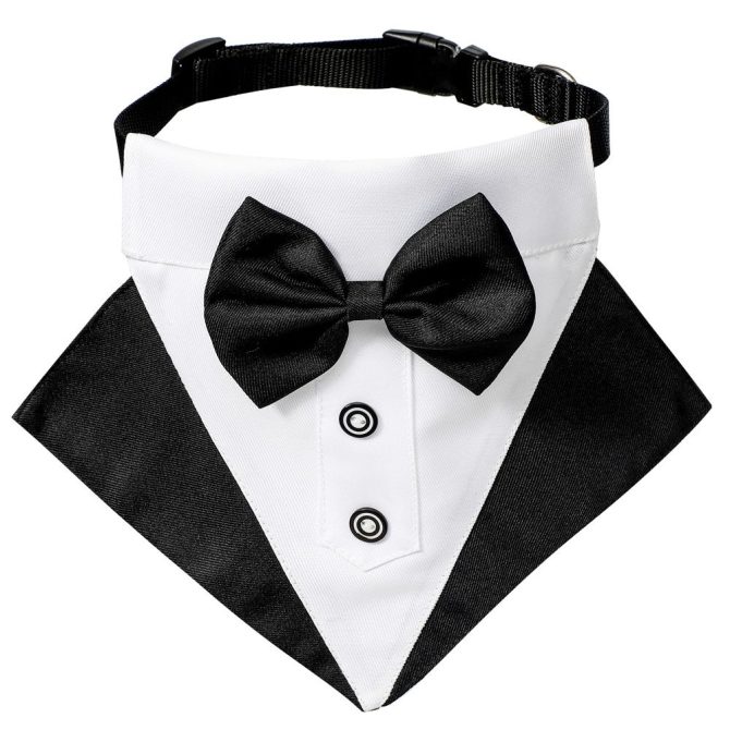 wedding suit dog collar pet saliva towel dog wedding triangle scarf - Image 24