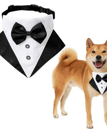 wedding suit dog collar pet saliva towel dog wedding triangle scarf