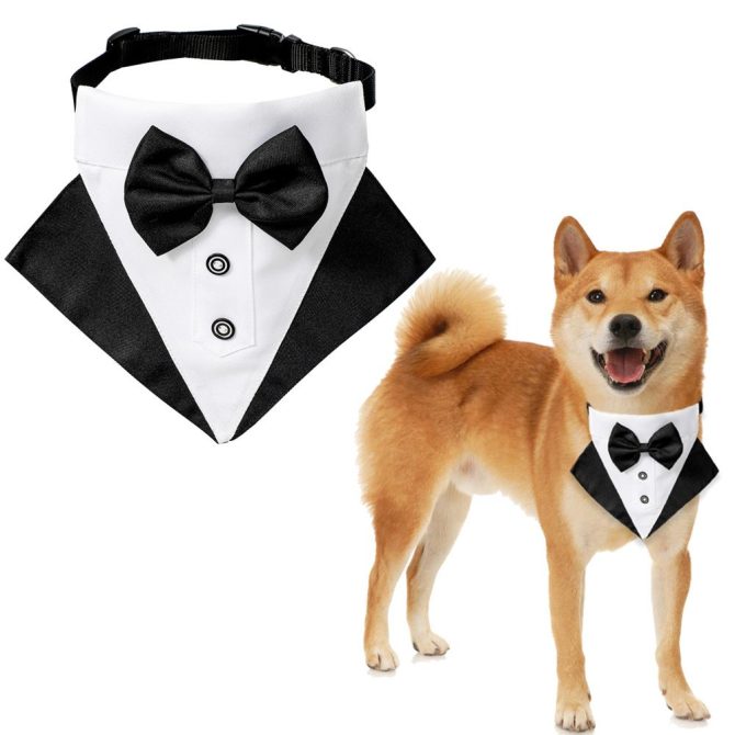 wedding suit dog collar pet saliva towel dog wedding triangle scarf - Image 29