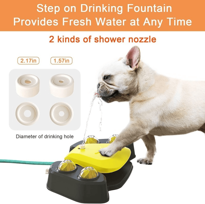 Dog Sprinkler Outdoor Canine Water Fountain Easy Paw Activated 2 Aqua Outlet Modes Hose Dispenser for Big and Small Dogs - Image 13