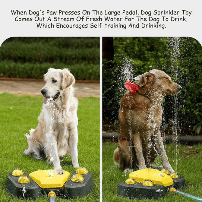 Dog Sprinkler Outdoor Canine Water Fountain Easy Paw Activated 2 Aqua Outlet Modes Hose Dispenser for Big and Small Dogs - Image 14