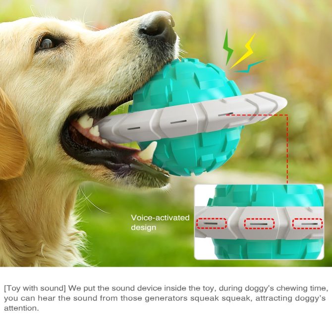 Dog Toy Sound Molar Decompression Dall Training Interactive Flying Saucer Dog Toothbrush Medium and Large Dog Pet Supplies - Image 5