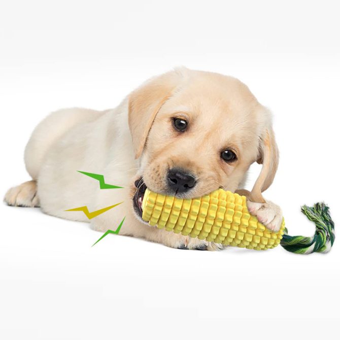Pet Dog Toy Interactive Rubber Balls for Small Large Dogs Puppy Cat Chewing Toys Pet Tooth Cleaning Indestructible Dog Food Ball - Image 51