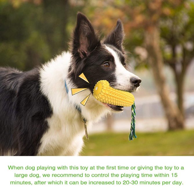 Pet Dog Toy Interactive Rubber Balls for Small Large Dogs Puppy Cat Chewing Toys Pet Tooth Cleaning Indestructible Dog Food Ball - Image 53
