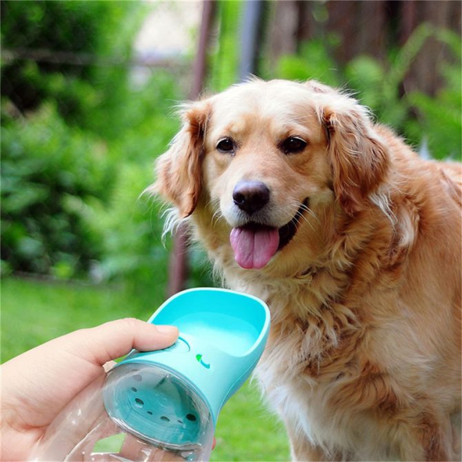 Pet Water Cup Outdoor Portable Water Bottle - Image 58