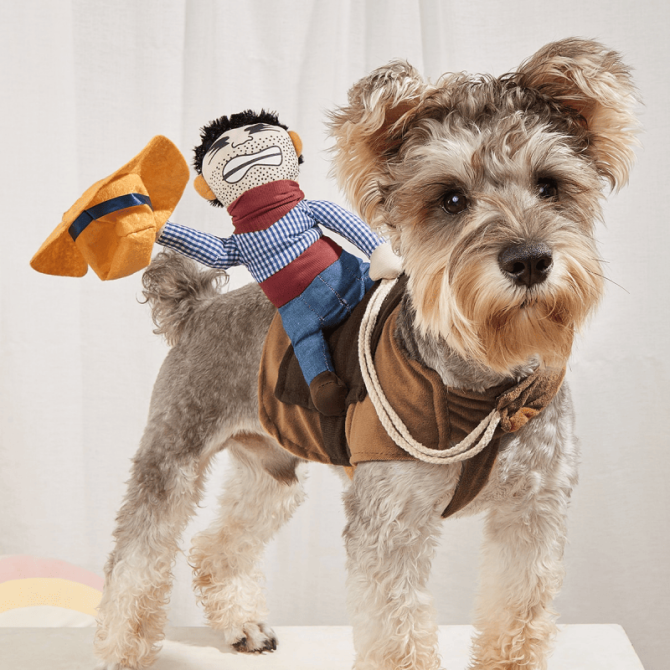 Cowboy Rider Pet Costume, Funny Dog Costume For Small Medium Dogs & Cats, Pet Clothes - Image 21