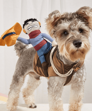 Cowboy Rider Pet Costume, Funny Dog Costume For Small Medium Dogs & Cats, Pet Clothes