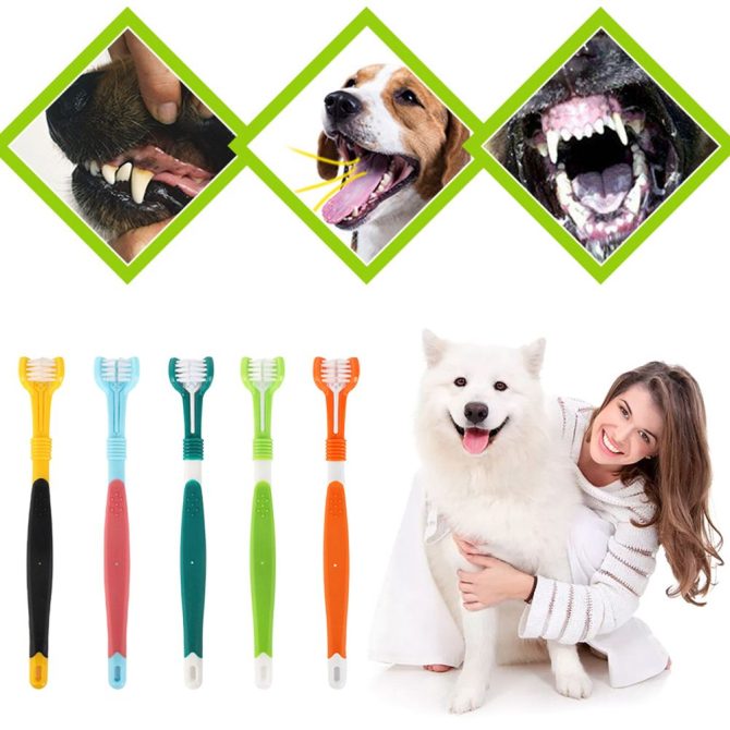 Three Sided Pet Toothbrush Three-Head Multi-angle Toothbrush Cleaning Dog Cat Brush Bad Breath Teeth Care Tool - Image 12