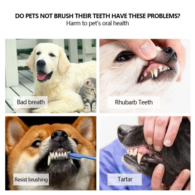 Three Sided Pet Toothbrush Three-Head Multi-angle Toothbrush Cleaning Dog Cat Brush Bad Breath Teeth Care Tool - Image 13