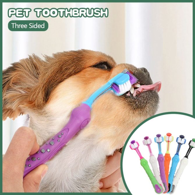 Three Sided Pet Toothbrush Three-Head Multi-angle Toothbrush Cleaning Dog Cat Brush Bad Breath Teeth Care Tool - Image 14