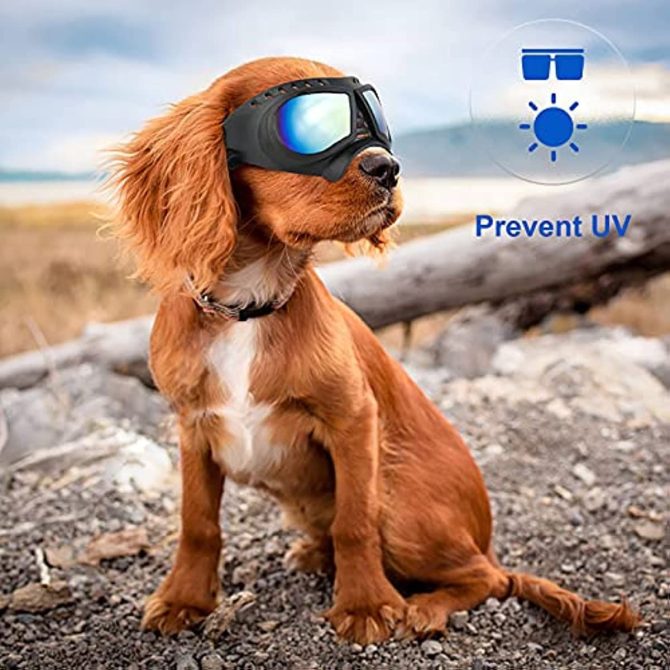 Dog Glasses for Small Breed Dog Goggles Dog UV Sunglasses Windproof Snowproof for Long Snout Dogs Mask with Soft Frame Adjustable Straps Black for Small/Medium Dogs Puppy - Image 3