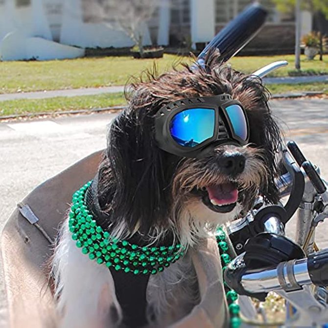 Dog Glasses for Small Breed Dog Goggles Dog UV Sunglasses Windproof Snowproof for Long Snout Dogs Mask with Soft Frame Adjustable Straps Black for Small/Medium Dogs Puppy - Image 5