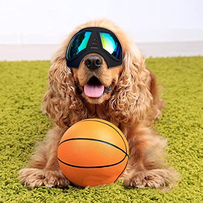 Dog Glasses for Small Breed Dog Goggles Dog UV Sunglasses Windproof Snowproof for Long Snout Dogs Mask with Soft Frame Adjustable Straps Black for Small/Medium Dogs Puppy - Image 6