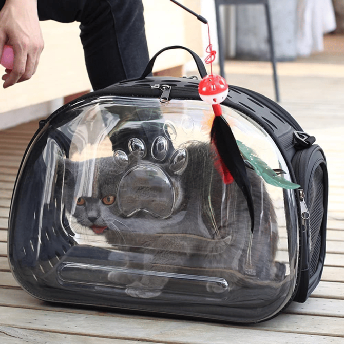 Pet Carrier; Foldable Portable Soft Side; Handbag for pets; Transparent Capsule Pocket Design; for cat Carrier; Dog Carrier; Rabbit Carrier; Suitable for Outdoor Travel - Image 20