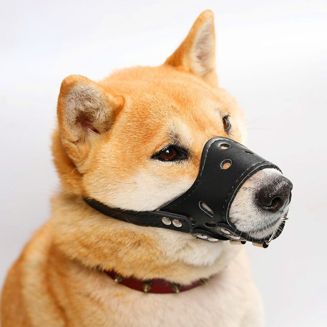 Dog mouth mask; anti-barking; anti-bite; dog mouth cover; puppy medium and large dogs; small dog masks; teddy golden retriever barker - Image 35