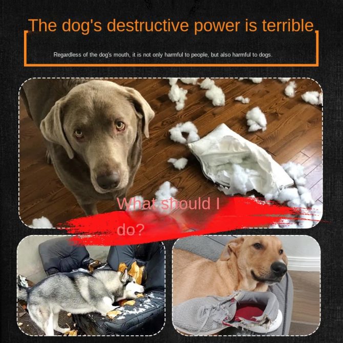 Dog mouth mask; anti-barking; anti-bite; dog mouth cover; puppy medium and large dogs; small dog masks; teddy golden retriever barker - Image 36