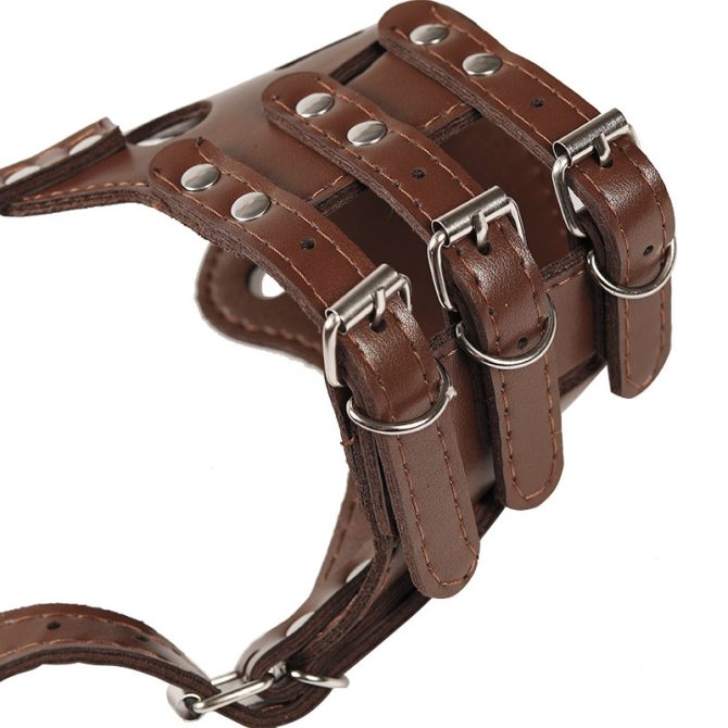 Dog mouth mask; anti-barking; anti-bite; dog mouth cover; puppy medium and large dogs; small dog masks; teddy golden retriever barker - Image 39
