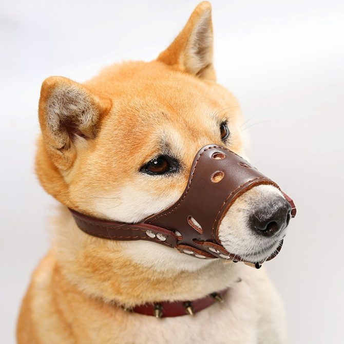 Dog mouth mask; anti-barking; anti-bite; dog mouth cover; puppy medium and large dogs; small dog masks; teddy golden retriever barker - Image 40