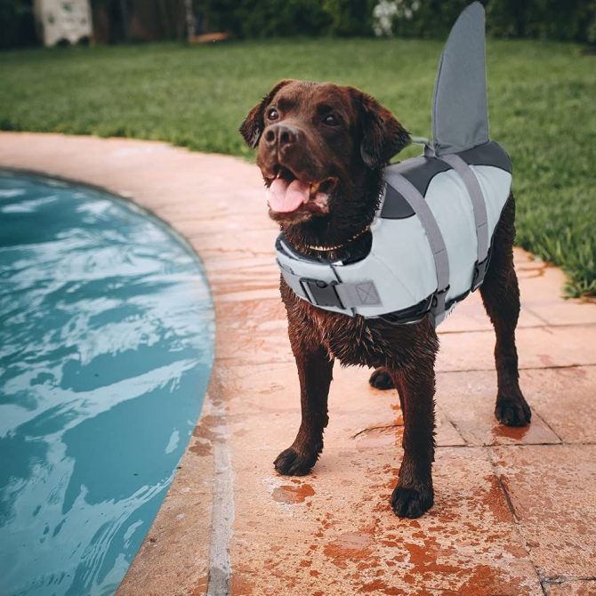 Dog Life Jacket Shark; Dog Lifesaver Vests with Rescue Handle for Small Medium and Large Dogs; Pet Safety Swimsuit Preserver for Swimming Pool Beach Boating - Image 65