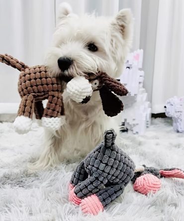 Dog Squeaks Toys; Plush Chewing Toys; Puppy Chewing Toys; Cute Animal Shaped Toys For Dogs