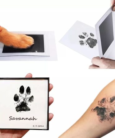 Pet Handprint And Footprint Kit For Dog & Cat; Dog Paw Print Pad Kit; Clean Touch Ink Pad For Pets; 3.7*2.2in